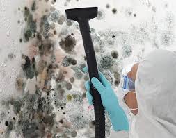 Environmental Consulting for Mold Prevention in Santa Ana, CA